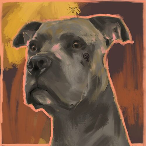 Pilz - Strassenköter (2022)