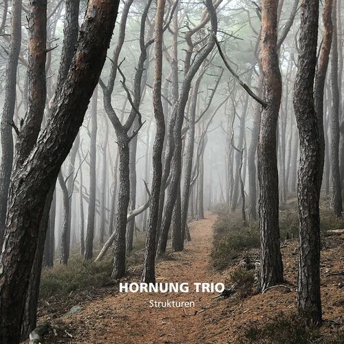 Hornung Trio - Strukturen (2022)