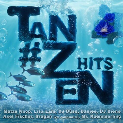 Tanzen Hits - Vol. 4 (2024)