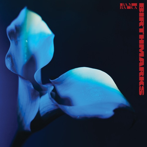 BAMBARA - Birthmarks (2025)