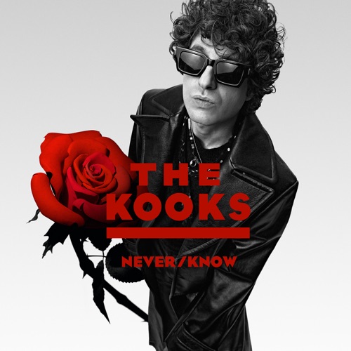 The Kooks - Never/Know (2025)