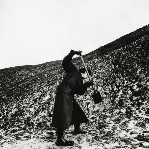 Drangsal - Aus keiner meiner Brücken die in Asche liegen ist je ein Phönix emporgestiegen (2025)