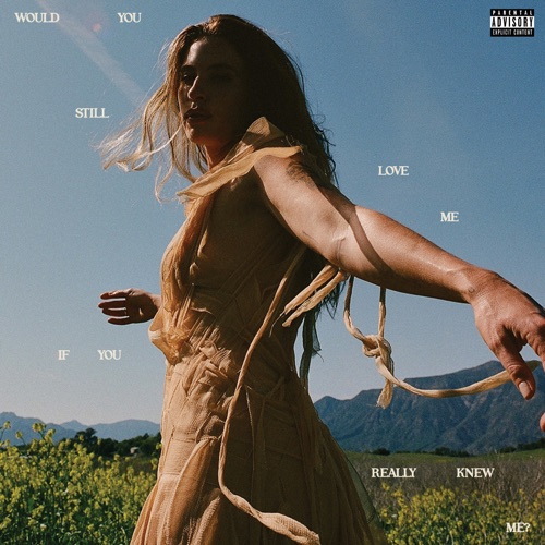 FLETCHER - Would You Still Love Me If You Really Knew Me? (2025)