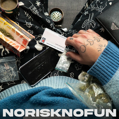 SII2 - no risk no fun (2025)