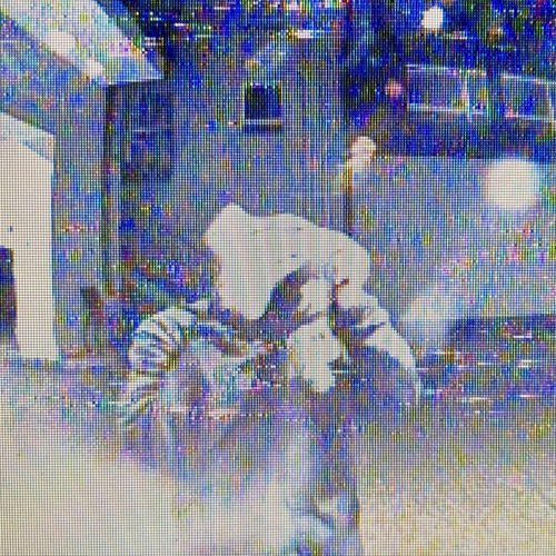 KVN - Cloud Archive (2025)