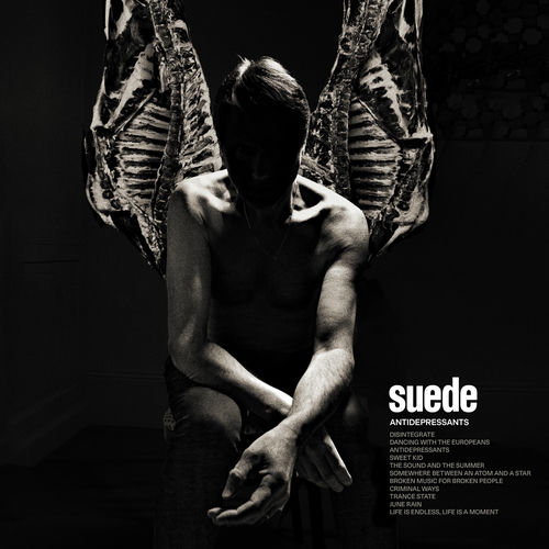 Suede - Antidepressants (2025)