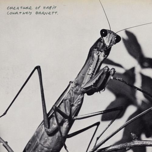 Courtney Barnett - Creature of Habit (2026)