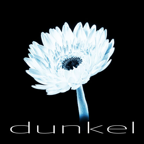 Cubbie - dunkel (2026)