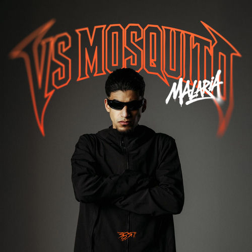 VS Mosquito - Malaria (2026)