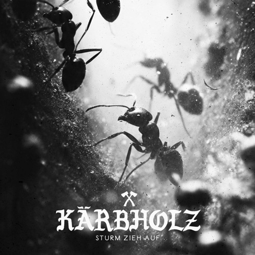 Kärbholz - Sturm zieh auf (2026)